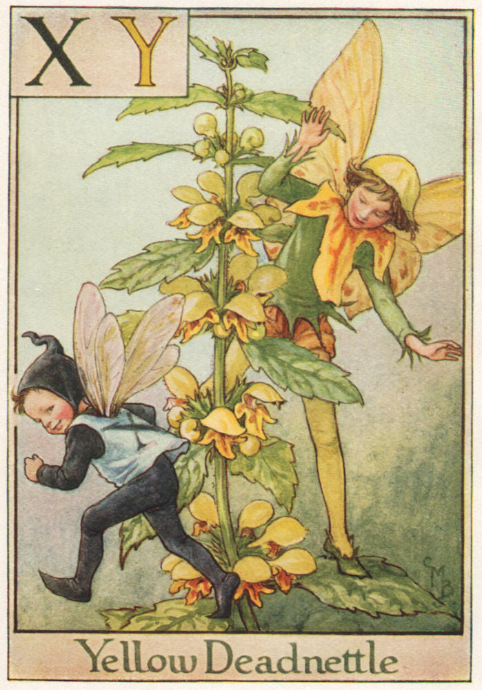 XY = Yellow Deadnettle Fairy. Cicely Mary Barker. Alphabet Flower Fairies c1934